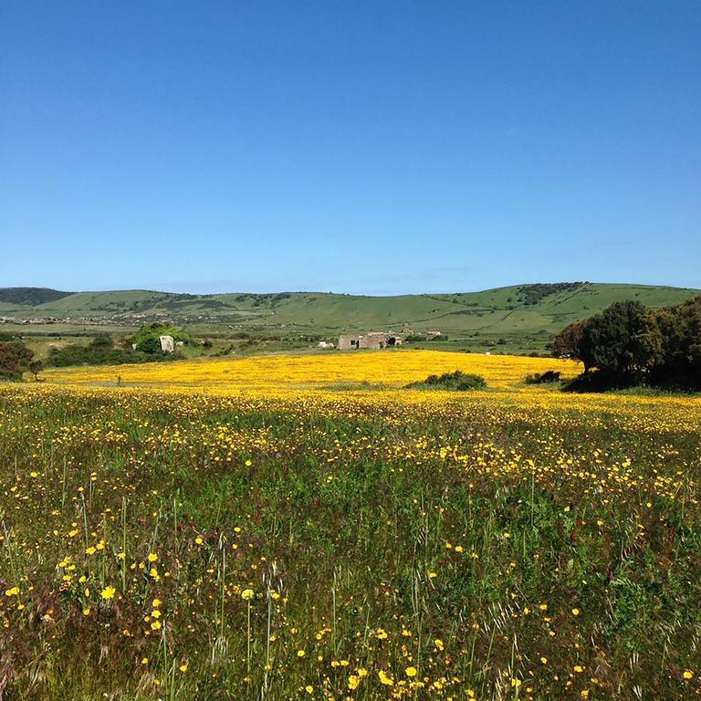 B&B La Tasgia Aggius Kültér fotó