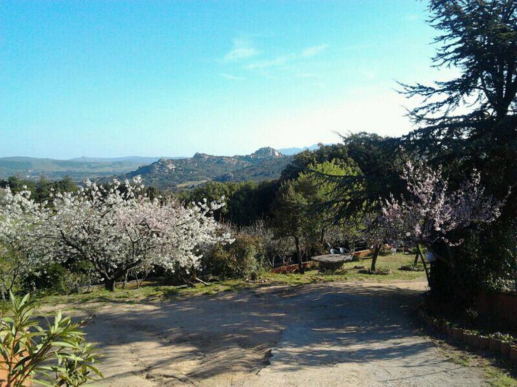 B&B La Tasgia Aggius Kültér fotó
