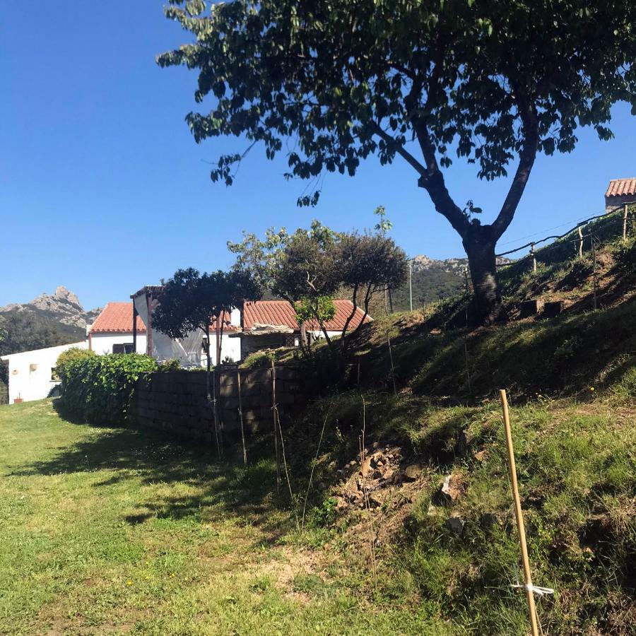 B&B La Tasgia Aggius Kültér fotó