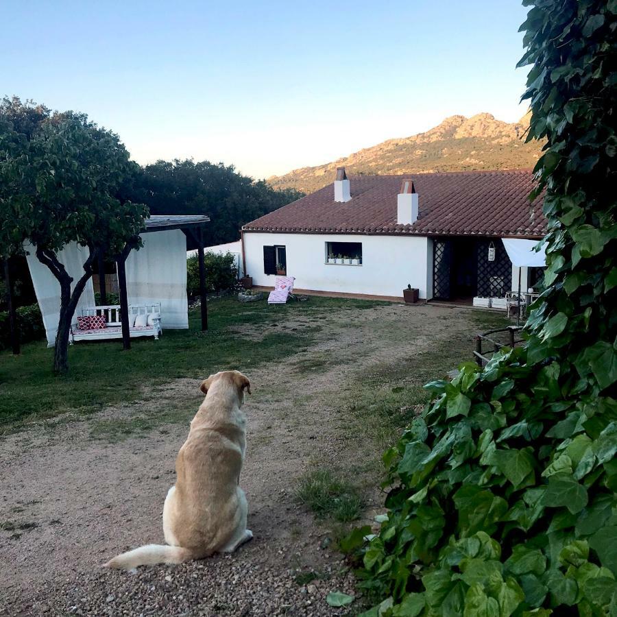 B&B La Tasgia Aggius Kültér fotó