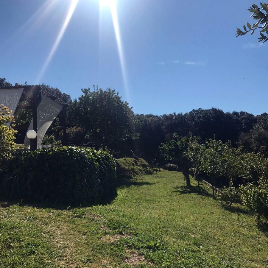B&B La Tasgia Aggius Kültér fotó
